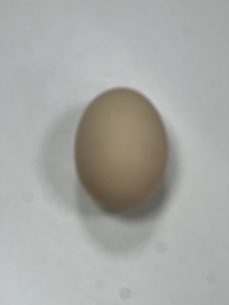 Яйцо на пробу