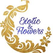 Exotic & Flowers,салон цветов,Барнаул