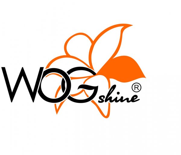 логотип компании WOGshine
