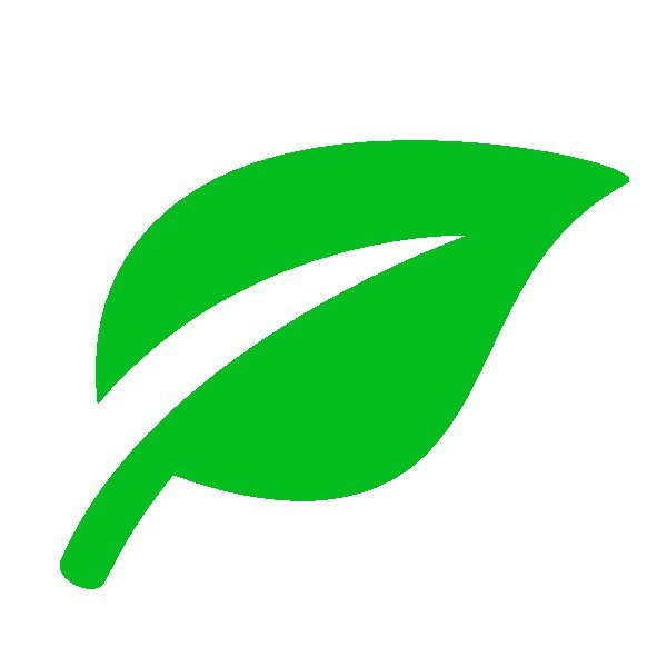 логотип компании Флора Сибири