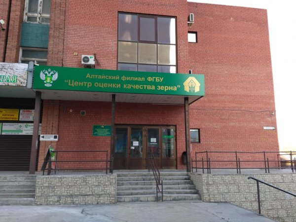 Центр оценки качества зерна,Алтайский филиал,Барнаул