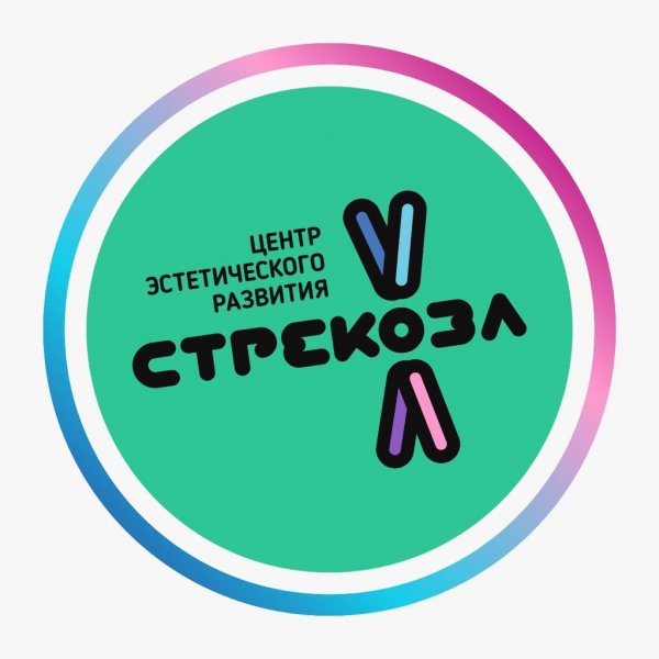 логотип компании Центр «Стрекоза»