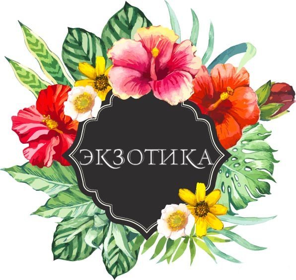 Экзотика,магазин цветов,Барнаул