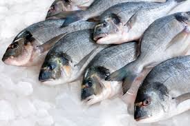 Свежая рыба из Балхаша,Рыба,Каскелен, Карасай