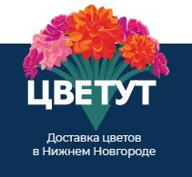 логотип компании Цветы Цветут.рф