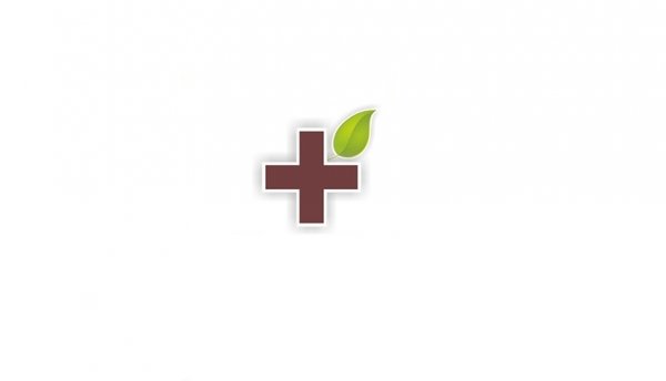 логотип компании Губернский лекарь