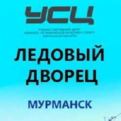логотип компании Ледовый дворец спорта