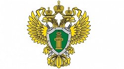 305 военная прокуратура гарнизона Северный флот,,Мурманск