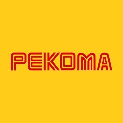 логотип компании РЕКОМА
