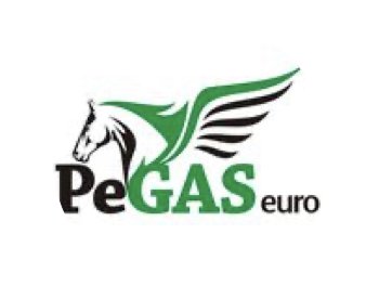 логотип компании PeGAS euro