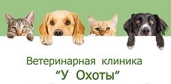 У охоты,ветеринарная клиника,Мурманск