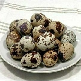 Яйца домашние перепелиные,Собственное производство,Иркутск
