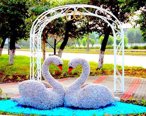 Жанровая скульптура Лебеди в Красноярске,Скульптуры,Красноярск