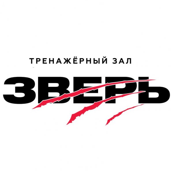 Зверь хабаровск. Спортклуб зверь Хабаровск. Зверь Хабаровск тренажерный зал. Звери в спортзале. МК спорт Хабаровск лого.