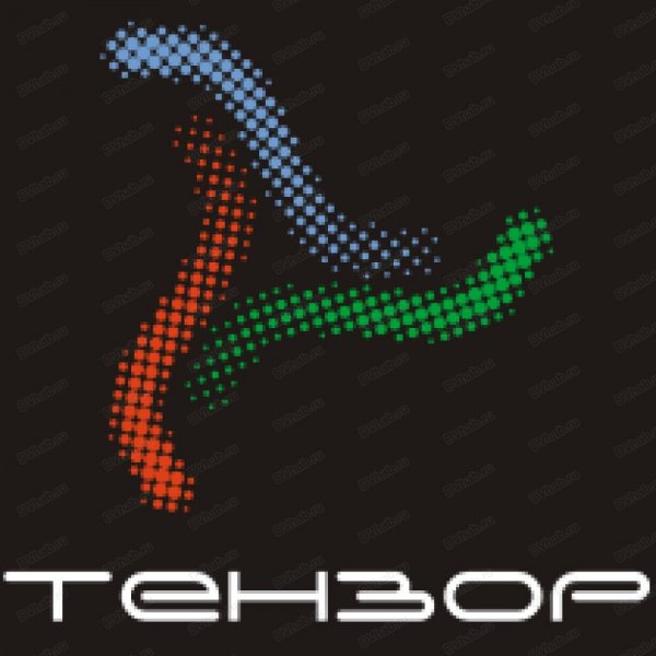 логотип компании Тензор