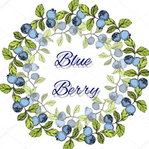логотип компании Blue Berry