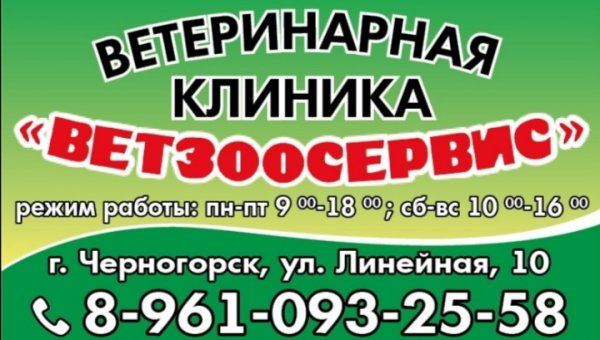 Ветзоосервис,ветеринарные услуги в Черногорске,Абакан