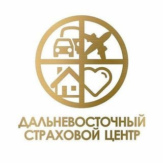 логотип компании Дальневосточный страховой центр