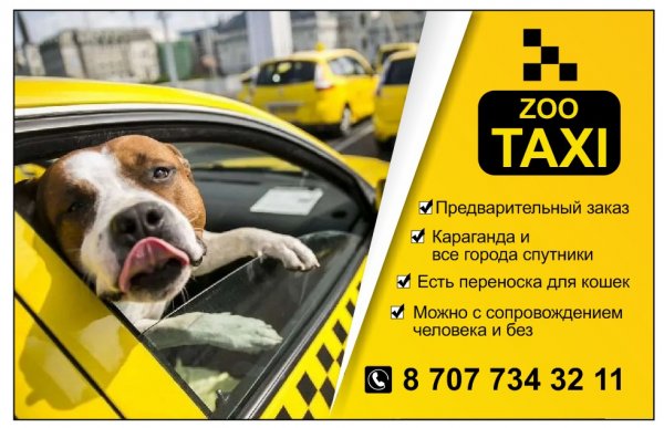ZOO такси,Перевозка животных Караганда,Караганда