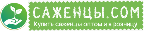 саженцы.com,Саженцы декоративных растений, плодовых кустов и деревьев,Курганинск