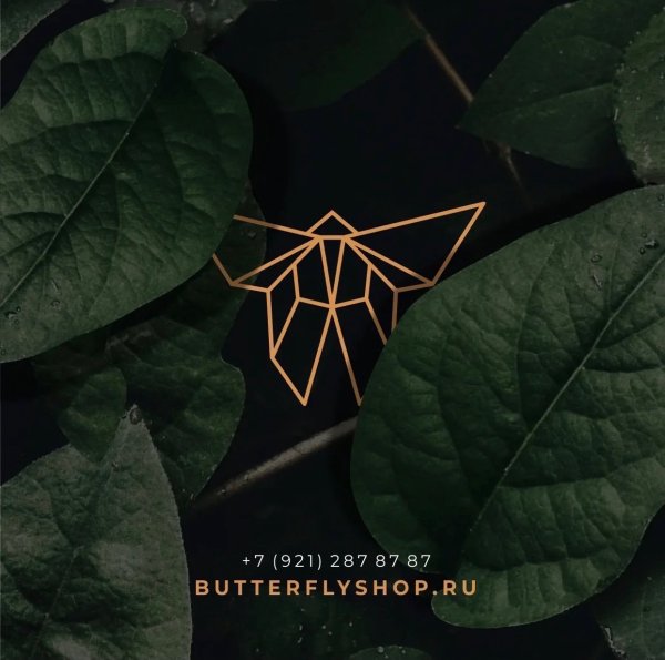 Butterflyshop