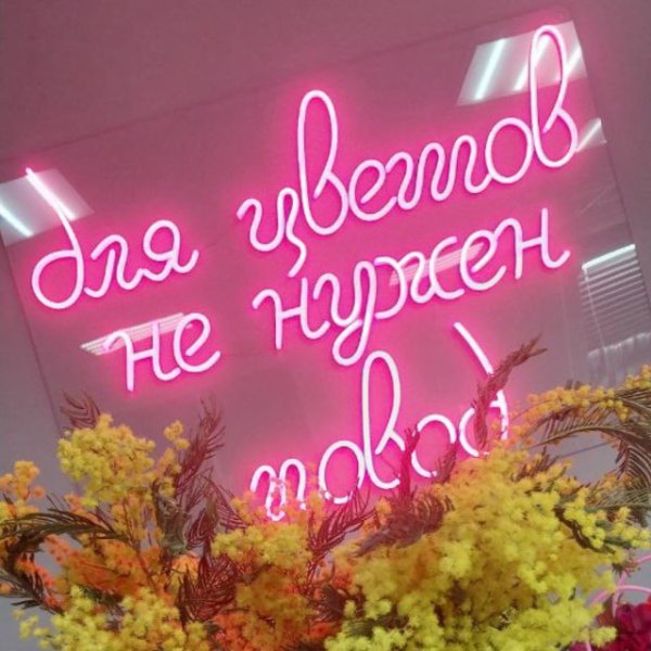 Любимые цветы