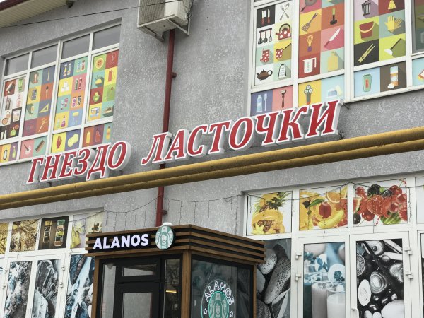 Гнездо ласточки