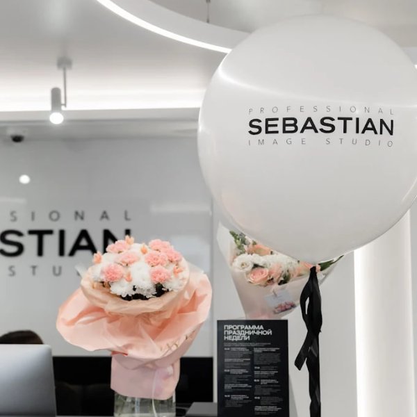 SEBASTIAN PROFESSIONAL