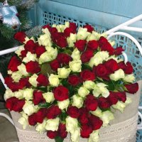Букет из 101 красно-белой розы 40см