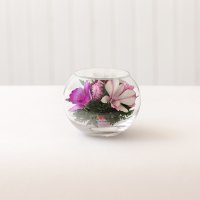 Орхидеи в малой круглой вазе