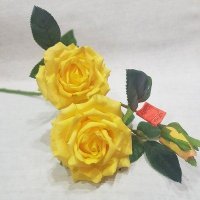 Роза Жёлтая