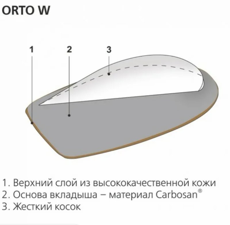 Подпяточники клиновидные