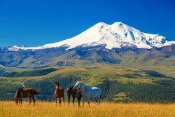 ЭЛЬБРУС (ТРИ ПОЛЯНЫ)