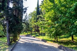 Санаторий «Магадан» Сочи