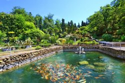 Санаторий «Магадан» Сочи