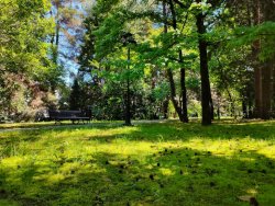 "ПАНСИОНАТ "БУРГАС" Сочи