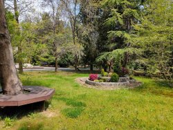 "ПАНСИОНАТ "БУРГАС" Сочи