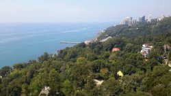 Санаторий "ЗЕЛЕНАЯ РОЩА" Сочи