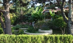 Пансионат «Изумруд»