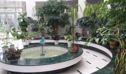 Пансионат «Изумруд»