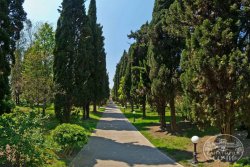 Санаторий "Сочи" Сочи