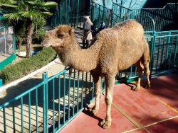 Санаторий "Октябрьский" Сочи