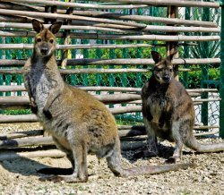 Санаторий "Октябрьский" Сочи