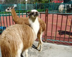 Санаторий "Октябрьский" Сочи