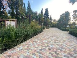 Детский оздоровительный комплекс "ДРУЖБА" Сочи