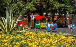 Санаторий "Бирюза" Сочи