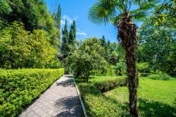 Комплекс отдыха "Морская звезда" Сочи