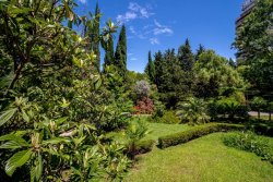 Комплекс отдыха "Морская звезда" Сочи