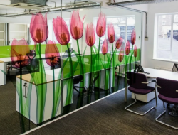 Интерьерная УФ-печать на белой/прозрачной самоклейке от 10 м² с резкой