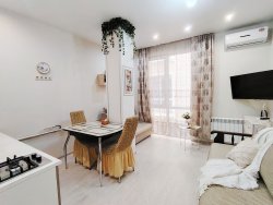 Студия для 3х человек с кухонной зоной, рядом с Олимпийским парком